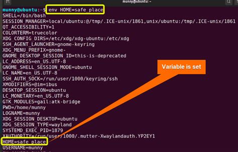 what is system variable in linux