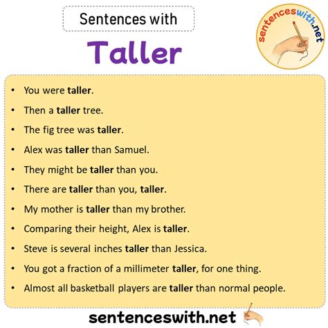 what is taller in english
