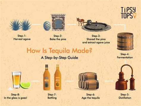 What Is Tequila Made From And Where Was It Created
