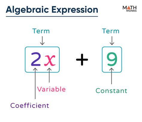 what is term in algebraic expression examples