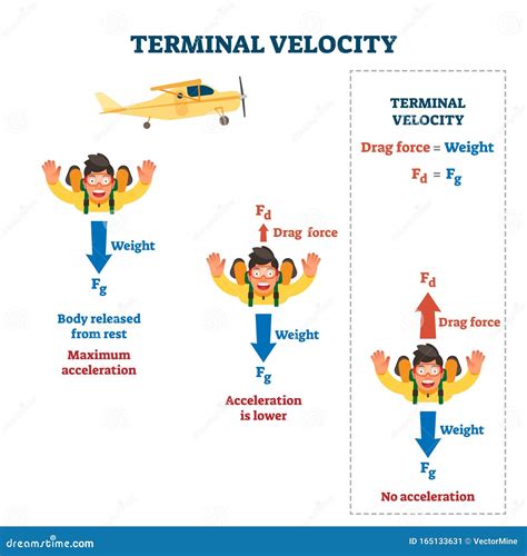 what is terminal velocity in science
