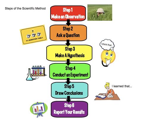 what is the 3rd step in scientific method