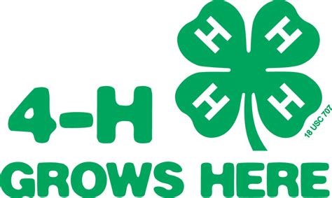 what is the 4-h organization
