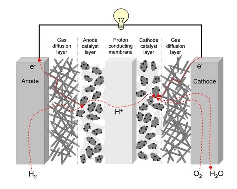 What Is The Anode In A Fuel Cell