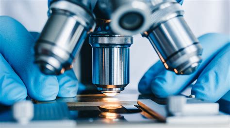 what is the application of metallurgy in forensic science