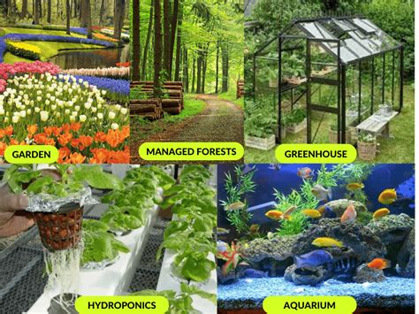 What Is The Artificial Environment