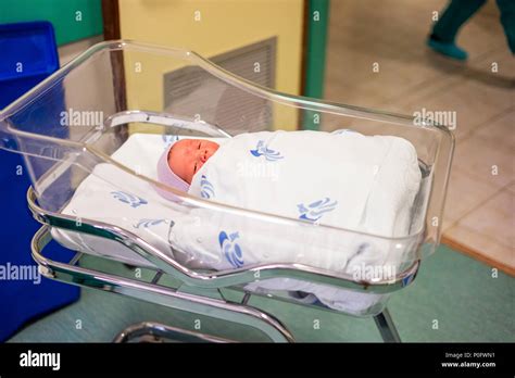 What Is The Baby Bed Called In The Hospital