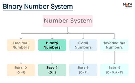 What Is The Base Of A Binary Number System
