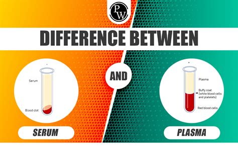 what is the basic difference between plasma and serum