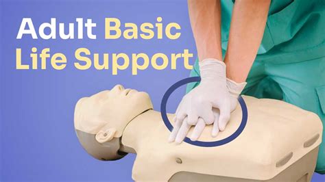 what is the basic life support system