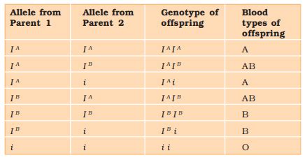 what is the basis of blood grouping
