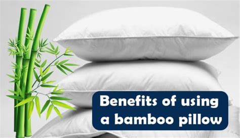 weedtime.us:what is the benefit of a bamboo pillow