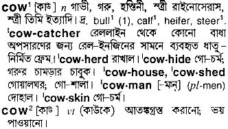 what is the bengali meaning of cow