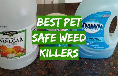 what is the best animal friendly weed killer