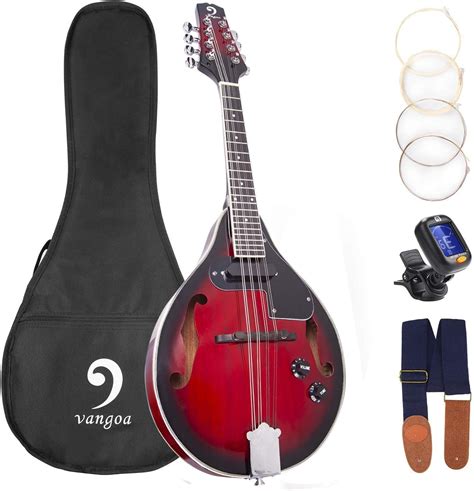what is the best beginner mandolin