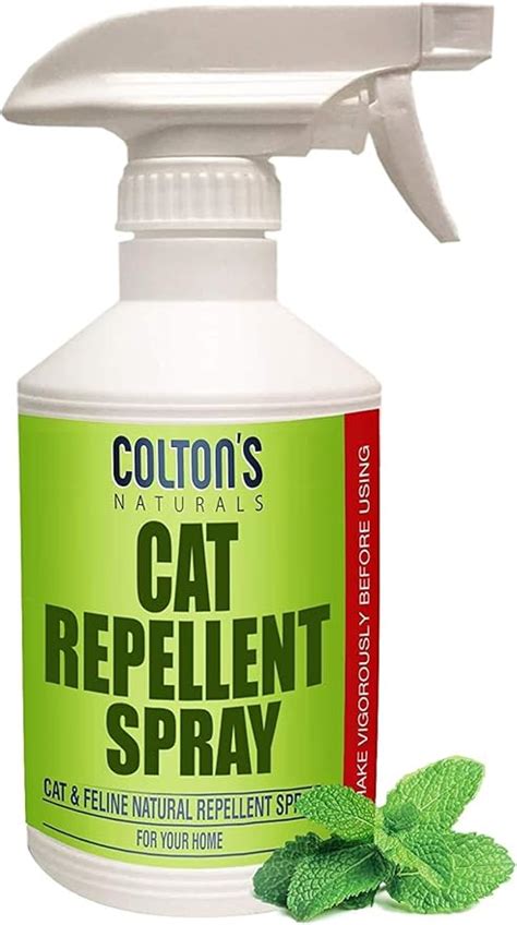 what is the best cat repellent for outdoors