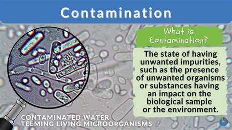 What Is The Best Example Of Secondary Contamination