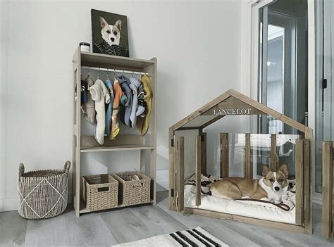 What Is The Best Pet For A Bedroom