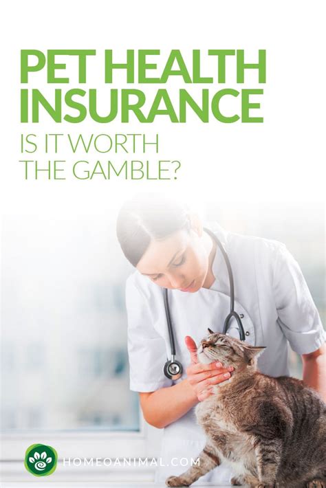 what is the best pet health insurance