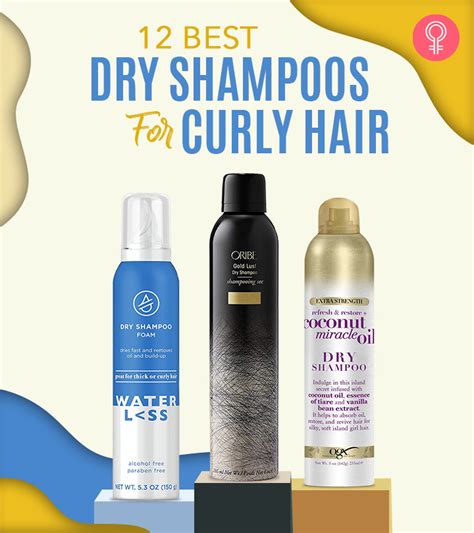  79 Stylish And Chic What Is The Best Shampoo For Dry Wavy Hair Trend This Years