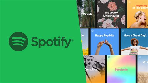 what is the best spotify playlist