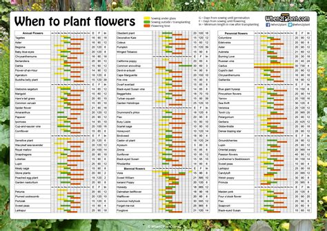 When to plant flowers Jardinage fleur, Planter des