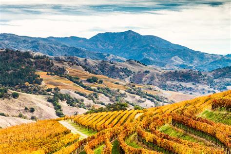 what is the best time of year to visit sonoma