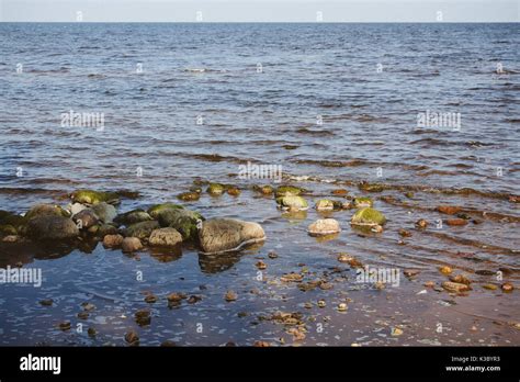 what is the biggest lake in estonia