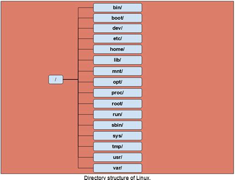 What Is The Bin Directory In Linux