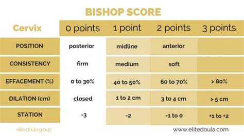 what is the bishop score in pregnancy
