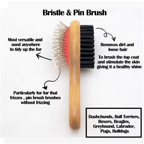 what is the bristle