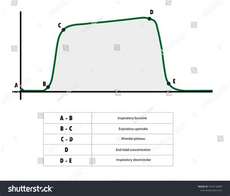 Price Ceiling Meaning and its Graphical Representation Tutor's Tips