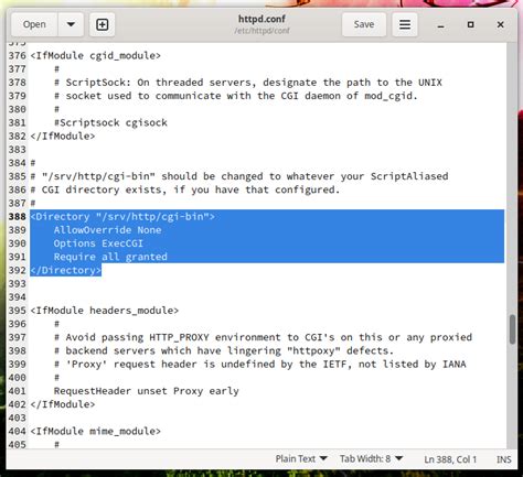 What Is The Cgi Bin Directory In Linux