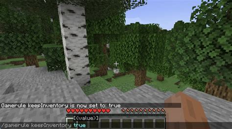 What Is The Command To Keep Your Inventory In Minecraft