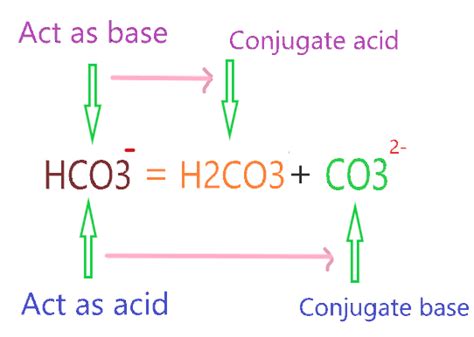 What Is The Conjugate Base Of Hco3 slidesharetrick