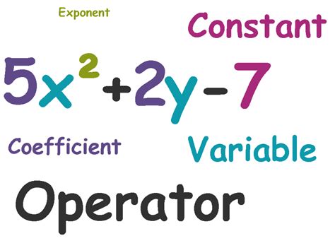 what is the constant in a polynomial