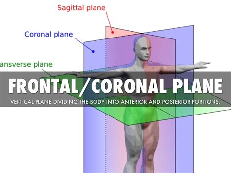 what is the coronal plane