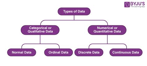 what is the correct definition of data types for statistics