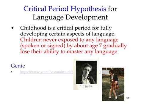 what is the critical period hypothesis in language development