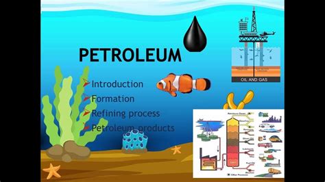 what is the definition of petroleum