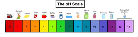what is the definition of scale in science