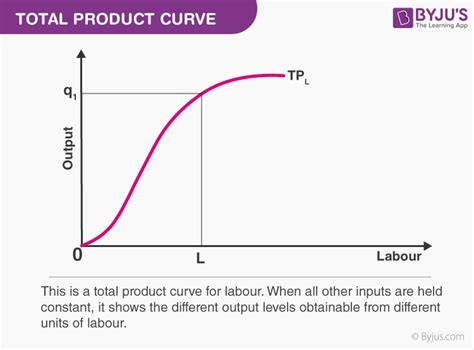 what is the definition of total product tp