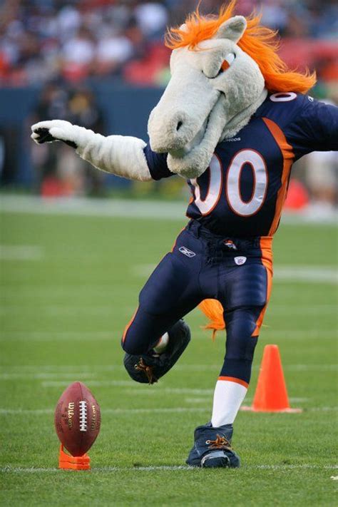 what is the denver broncos mascot