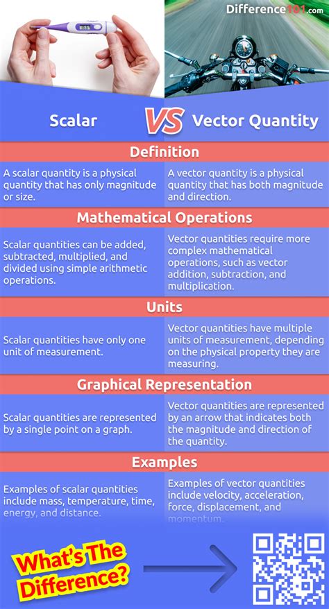 What Is The Difference Between A Scalar And A Vector