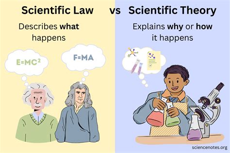 what is the difference between a scientific theory and a law give an example of each