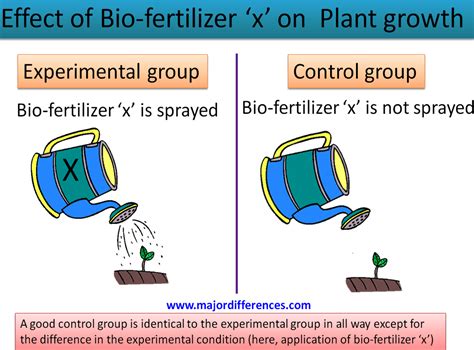 what is the difference between an experimental group and a control group in science