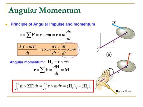 what is the difference between angular velocity and angular momentum