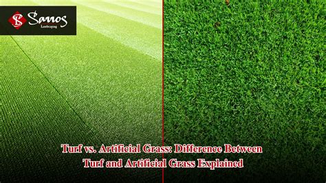 What Is The Difference Between Artificial Grass And Turf