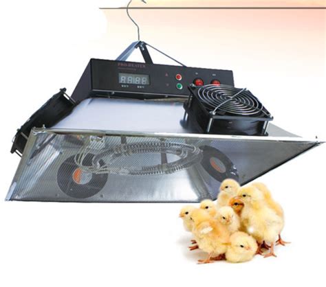 What Is The Difference Between Brooder And Heater