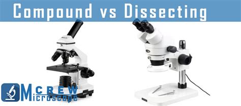 What Is The Difference Between Dissecting Microscope And Compound Microscope